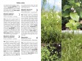 rośliny polski ; rośliny rozpoznawanie ; rośliny spotkania ; rośliny przewodnik ; przewodnik rośliny ; rośliny do rozpoznawania ; rośliny multico ; rośliny książka ; rośliny przewodnik do rozpoznawania