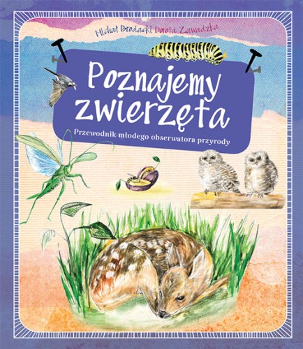 Poznajemy zwierzęta ; Przewodnik młodego obserwatora przyrody ; zwierzęta przewodnik ; przewodnik zwierzęta dla dzieci ; zwierzęta dla dzieci przewodnik ; multico przewodnik młodego obserwatora ; zwierzęta młody obserwator przyrody