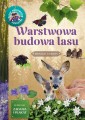 Warstwowa budowa lasu ; las budowa ; warstwy lasu książka ; las książka ; las budowa książka ; warstwy lasu ; dla dzieci warstwy lasu ; młody obserwator warstwy lasu