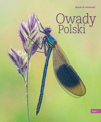 owady polski ; owady książki ; owady przewodnik ; owady rozpoznawanie ; owady w polsce książka ; owady książka multico ; owady multico ; owady książka rozpoznawanie