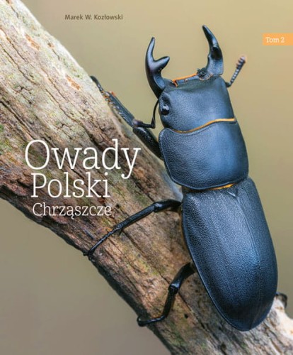 owady polski ; owady książki ; owady przewodnik ; owady rozpoznawanie ; owady w polsce książka ; owady książka multico ; owady multico ; owady książka rozpoznawanie