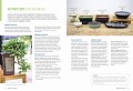 bonsai ; bonsai książka ; książka o bonsai ; bonsai książka poradnik ; bonsai poradnik ; bonsai jak uprawiać ; bonsai multico