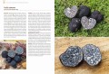Trufle_s26-27.jpg