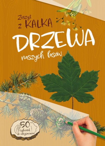 Drzewa naszych lasów ; Drzewa zeszyt z kalką ; drzewa rozpoznawanie ; drzewa dla dzieci książka ; książka dla dzieci drzewa ; dzieci drzewa książka ; zeszyt z kalką drzewa