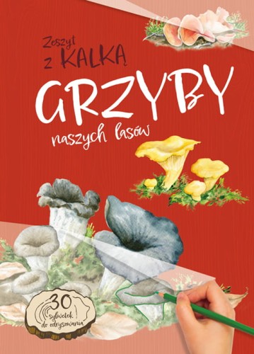 Grzyby naszych lasów ; grzyby rysowanie ; grzyby w lesie ; grzyby do rysowania ; grzyby kalki ; rysowanie grzybów ; rozpoznawanie gatunków grzybów ; grzyby dla dzieci ; grzyby książka ; grzyby multico