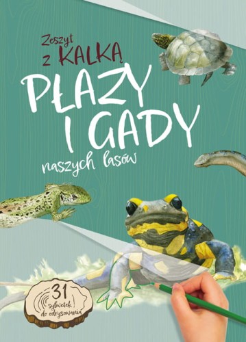 Płazy i gady naszych lasów ; płazy i gady rysowanie ; płazy i gady w lesie ; płazy i gady do rysowania ; płazy i gady kalki ; rysowanie płazów i gadów ; rozpoznawanie gatunków płazów i gadów ; płazy i gady dla dzieci
