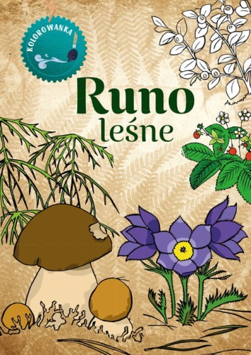 kolorowanka runo leśne ; runo leśne kolorowanka ; kolorowanka dla dzieci runo leśne ; runo kolorowanka
