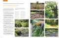 OGRÓD-PRZYJAZNY-NATURZE ; Danuta Młoźniak książka ; ogród naturalny ; ogród naturalny Danuta Młoźniak ; nowa książka Danuty Młoźniak ; Ogród naturalny książka ; ogród przyjazny naturze książka