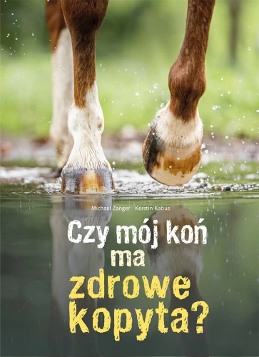zk.jpg