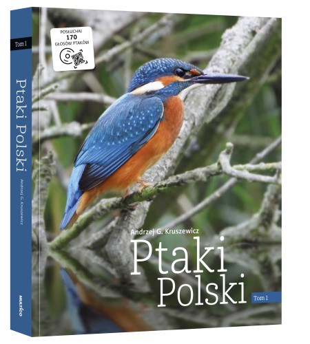 ptaki polski ; ptaki polski kruszewicz ; kruszewicz ptaki ; kruszewicz książka ; kruszewicz ptaki ; ptaki polski książka ; ptaki kruszewicz książka ; etui ptaki polski ; kruszewicz nowe wydanie ptaków ; głosy ptaków ; multico ptaki polski