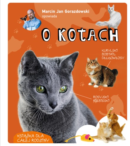 książka o kotach ; rasy kotów ; dla dzieci o kotach ; o kotach dla dzieci ; książka o kotach dla dzieci ; rozpoznawanie ras kotów ; gorazdowski o kotach ; o kotach dla dzieci książka