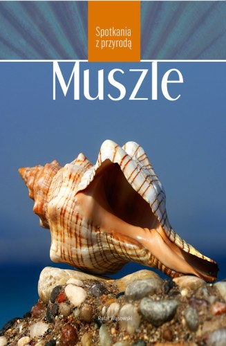 muszle MULTICO Oficyna Wydawnicza przewodnik przyroda muszle rozpoznawanie 