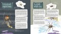 Poznajemy zwierzęta ; Przewodnik młodego obserwatora przyrody ; zwierzęta przewodnik ; przewodnik zwierzęta dla dzieci ; zwierzęta dla dzieci przewodnik ; multico przewodnik młodego obserwatora ; zwierzęta młody obserwator przyrody