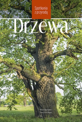 Drzewa. Spotkania z przyrodą ; drzewa przewodnik ; drzewa książka rozpoznawanie ; książka drzewa ; drzewa książka multico