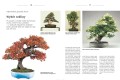 Bonsai książka ; bonsai książka poradnik ; bonsai poradnik ; bonsai zasady ; uprawa bonsai ; książka o bonsai ; poradnik bonsai ; sadzenie bonsai ; gatunki bonsai