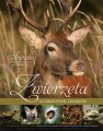 Zwierzęta w obiektywie leśników MULTICO Oficyna Wydawnicza album przyroda fotografia ; zwierzęta w obiektywie ; zwierzęta zdjęcia ; zdjęcia leśników ; album leśników