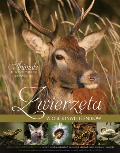 Zwierzęta w obiektywie leśników MULTICO Oficyna Wydawnicza album przyroda fotografia ; zwierzęta w obiektywie ; zwierzęta zdjęcia ; zdjęcia leśników ; album leśników