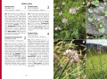 rośliny polski ; rośliny rozpoznawanie ; rośliny spotkania ; rośliny przewodnik ; przewodnik rośliny ; rośliny do rozpoznawania ; rośliny multico ; rośliny książka ; rośliny przewodnik do rozpoznawania