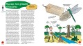 z tatą na dinozaury ; dinozaury mikołuszko ; wojciech mikołuszko książka ; dinozaury multico ; dinozaury książka ; książka o dinozaurach ; z tatą na dinozaury multico ; z tatą na dinozaury multico ; dinozaury dla dzieci ; dinozaury książka dla dzieci