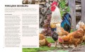 Ptasia inteligencja ; Nathan Emery książka l Nathan Emery book ; Rozważania nad ptasią inteligencją ; Ptasi intelekt książka ; Ptaki umysł zachowanie książka ; ptaki książka inteligencja