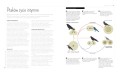 Ptasia inteligencja ; Nathan Emery książka l Nathan Emery book ; Rozważania nad ptasią inteligencją ; Ptasi intelekt książka ; Ptaki umysł zachowanie książka ; ptaki książka inteligencja