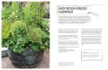 Piękny ogród smakosza MULTICO Oficyna Wydawnicza poradnik ogrodnictwo przyroda rośliny warzywniak bazylia szczypiorek