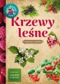 Krzewy leśne Młody Obserwator Przyrody ; krzewy rozpoznawanie dla dzieci ; rozpoznawanie krzewów dla dzieci ; krzewy leśne zeszyt edukacyjny ; krzewy leśne mop ; rozpoznawanie krzewów dla dzieci ; krzewy leśne dzieci