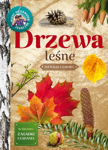 drzewa leśne zeszyt edukacyjny ; drzewa książka dla dzieci ; drzewa dla dzieci ; drzewa młody obserwator przyrody ; drzewa leśne książka dla dzieci ; dla dzieci drzewa ; drzewa leśne książka ; drzewa dla dzieci młody obserwator