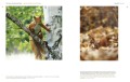 Zwierzęta w obiektywie leśników MULTICO Oficyna Wydawnicza album przyroda fotografia ; zwierzęta w obiektywie ; zwierzęta zdjęcia ; zdjęcia leśników ; album leśników