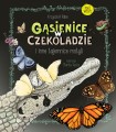 gąsienice w czekoladzie książka ; motyle książka ; książka o motylach ; przewodnik po motylach ; krzysztof pabis ; książka dla dzieci o motylach