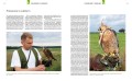 Sokolnictwo ; sokoły ; ptaki drapieżne ; książki ptaki drapieżne ; sokolnictwo dodruk ; sokolnictwo Cieślikowski ; sokolnictwo książka ; sokolnictwo poradnik