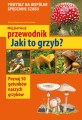 Mój pierwszy przewodnik. Jaki to grzyb? MULTICO Oficyna Wydawnicza książka edukacyjna przewodnik grzyby rozpoznawanie grzybów