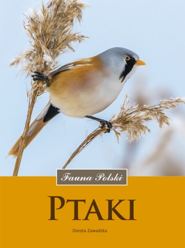 Ptaki Fauna Polski ; Ptaki Zawadzka ; Ptaki przewodnik ; Ptaki Polski  przewodnik ; ptaki multico ; ptaki przewodnik multico fauna