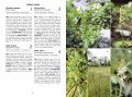 rośliny polski ; rośliny rozpoznawanie ; rośliny spotkania ; rośliny przewodnik ; przewodnik rośliny ; rośliny do rozpoznawania ; rośliny multico ; rośliny książka ; rośliny przewodnik do rozpoznawania